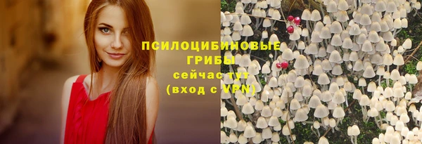 ECSTASY Алексеевка