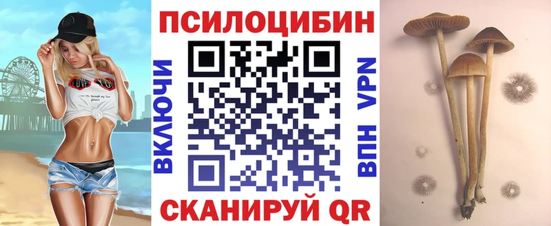 Псилоцибиновые грибы Psilocybe  это состав  Сурск 
